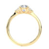 A1042 Jaci Accent Diamond Engagement in Yellow Gold Sideview