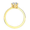 L0049 Julia Accent Diamond Engagement in Yellow Gold Sideview